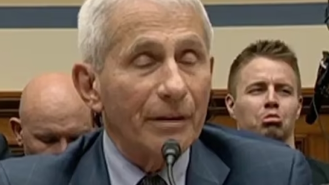 “Fauci Questions Presence of Insurrectionist at COVID Hearing”