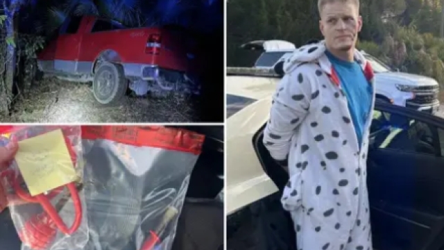 Florida Man in Dalmatian Onesie Leads Troopers on Wild Chase